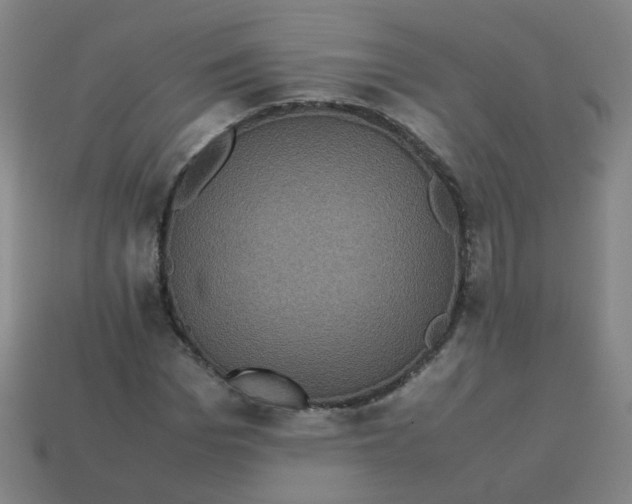 X0000113240969200910081254