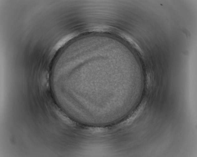 X0000113240970200910081254