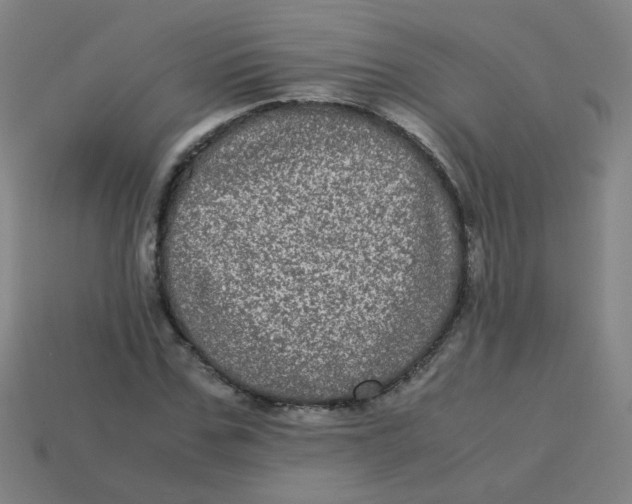 X0000113240971200910081254