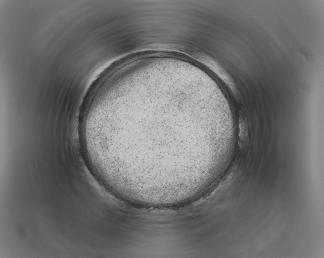 X0000113240972200910081254