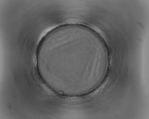 X0000113240973200910081254