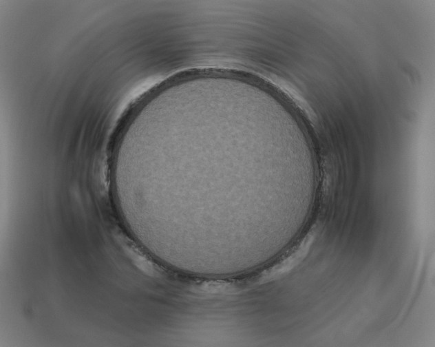 X0000113240974200910081254