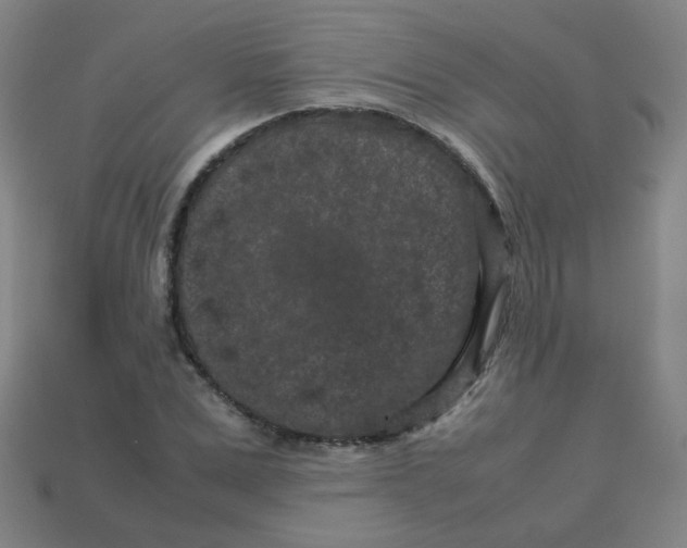 X0000113240975200910081254