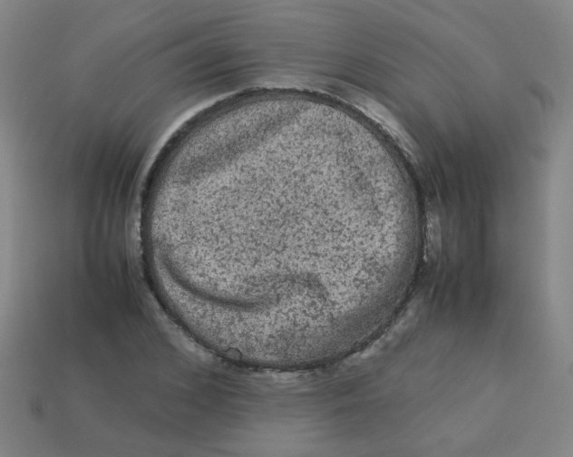 X0000113240976200910081254