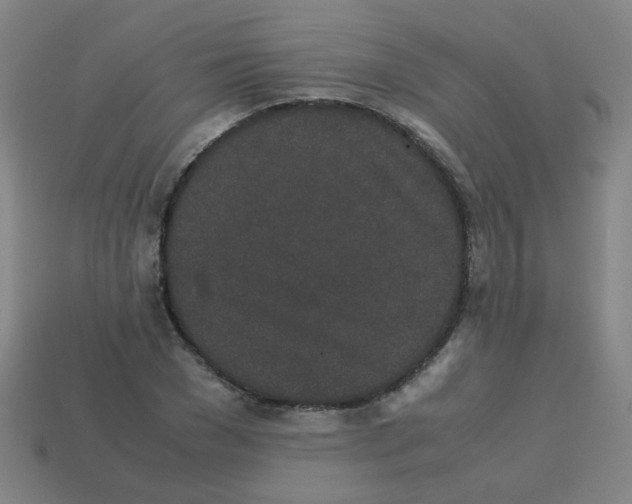 X0000113240977200910081254