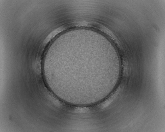 X0000113240978200910081254