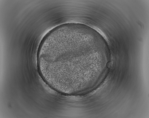 X0000113240980200910081254