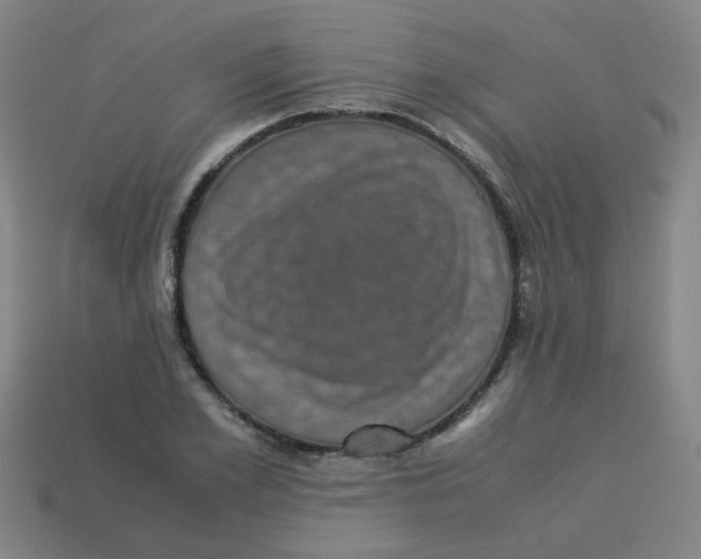 X0000113240981200910081254