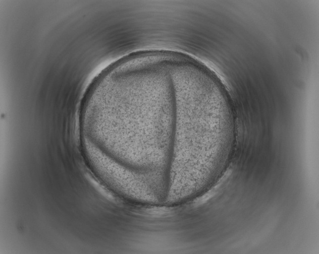 X0000113240982200910081254