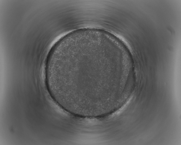 X0000113240983200910081254