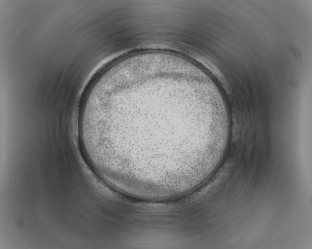 X0000113240984200910081254