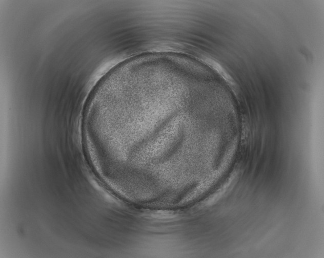 X0000113240986200910081254