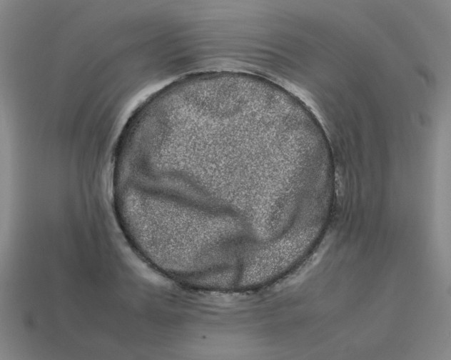 X0000113240987200910081254