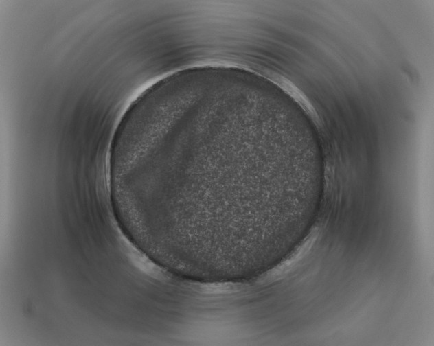 X0000113240988200910081254