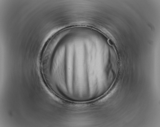 X0000113240989200910081254