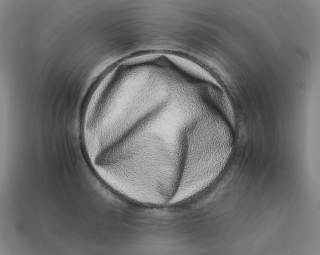 X0000113240990200910081254