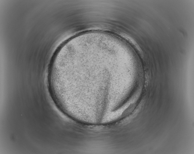 X0000113240991200910081254