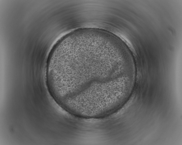 X0000113240992200910081254