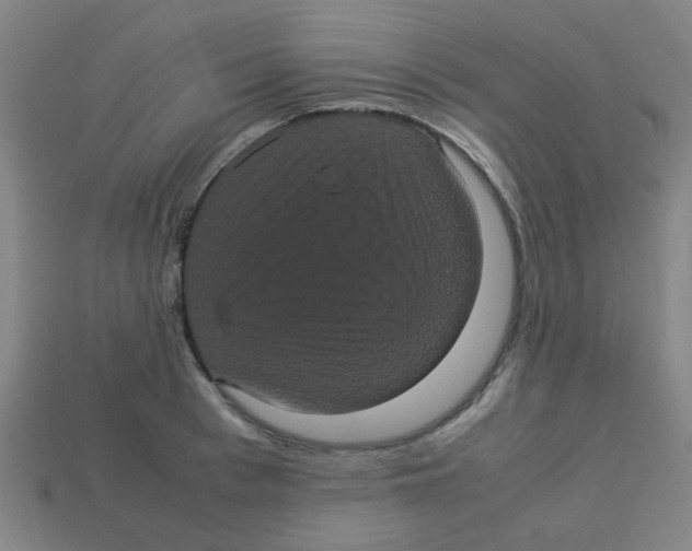 X0000113240993200910081254