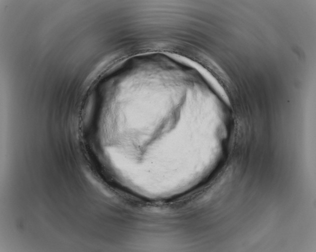 X0000113240994200910081254