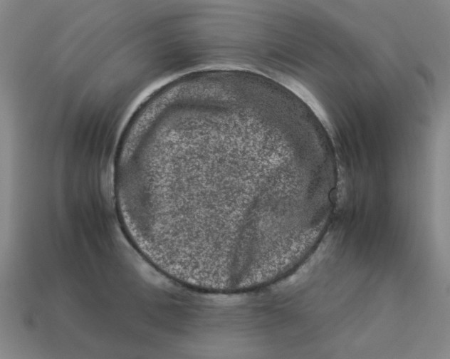 X0000113240996200910081254
