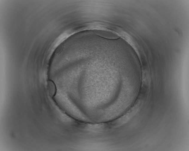 X0000113240997200910081254
