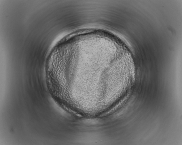 X0000113240998200910081254