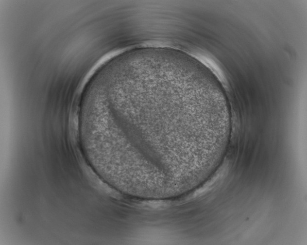 X0000113241000200910081254