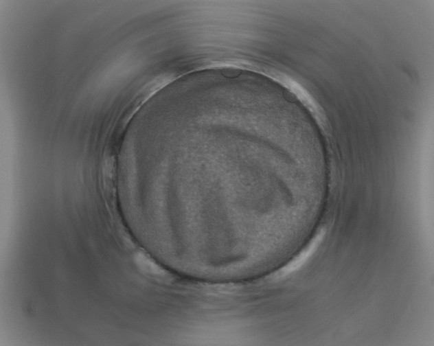 X0000113241001200910081254