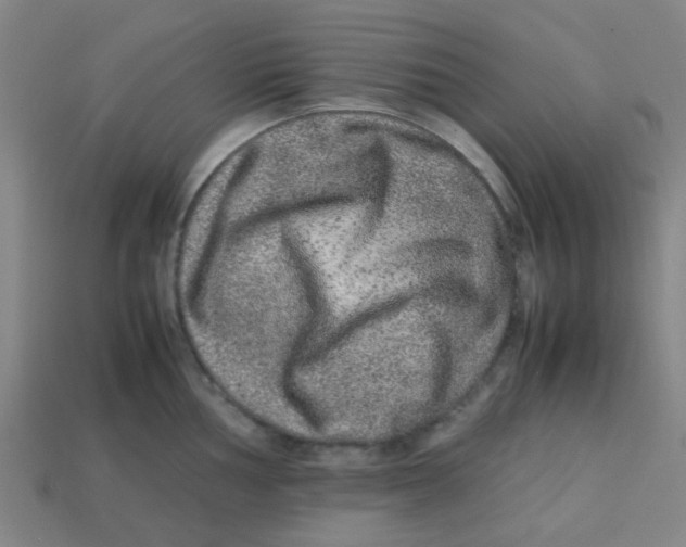 X0000113241002200910081254