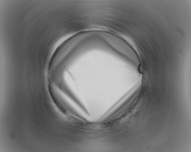 X0000113241003200910081254