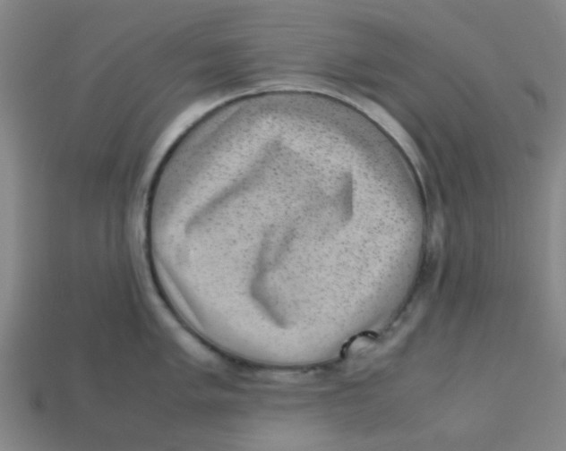 X0000113241005200910081254