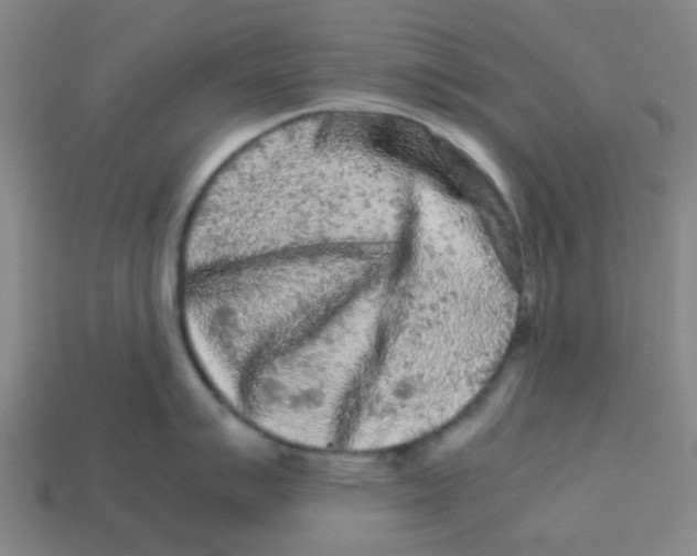 X0000113241007200910081254