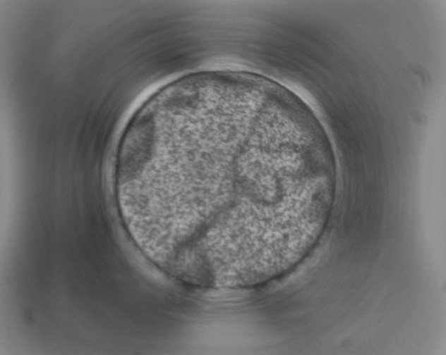 X0000113241008200910081254