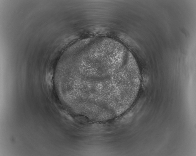 X0000113241010200910081253