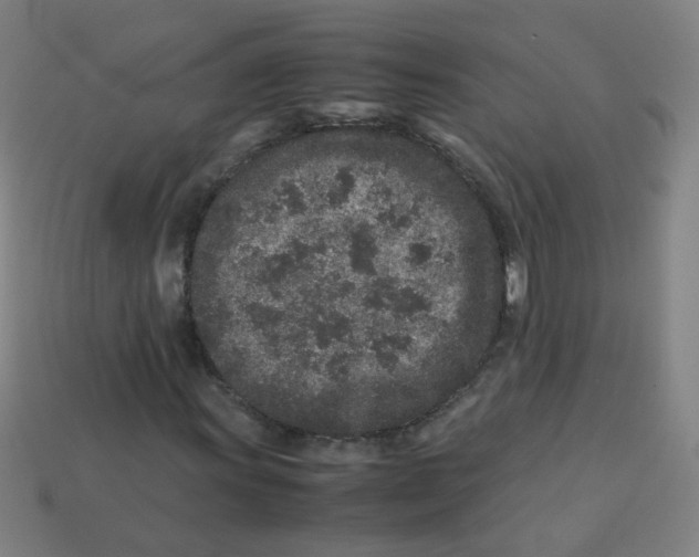 X0000113241011200910081253