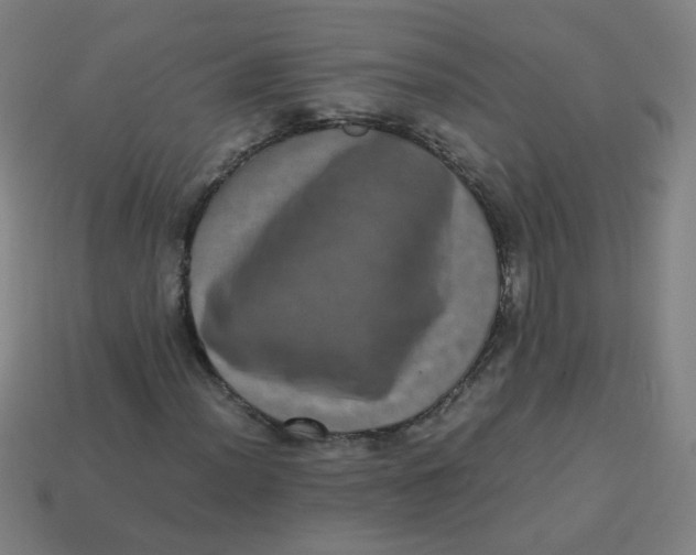 X0000113241012200910081253