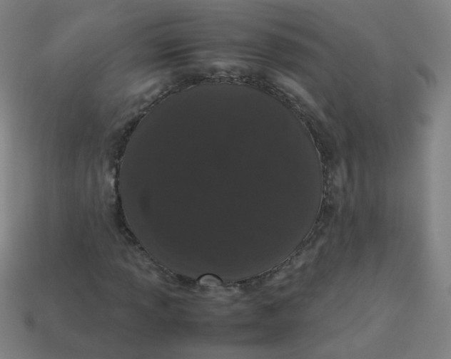 X0000113241013200910081253