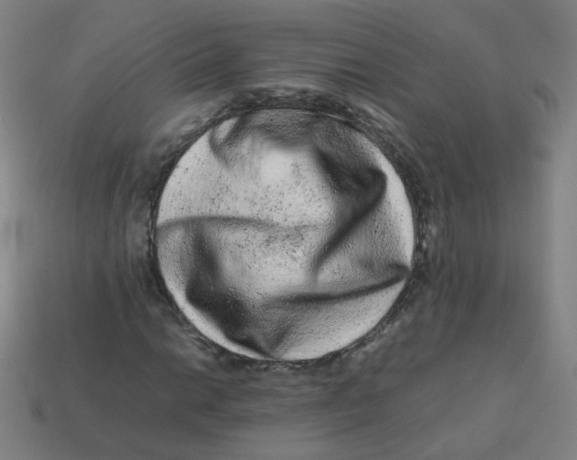 X0000113241014200910081253