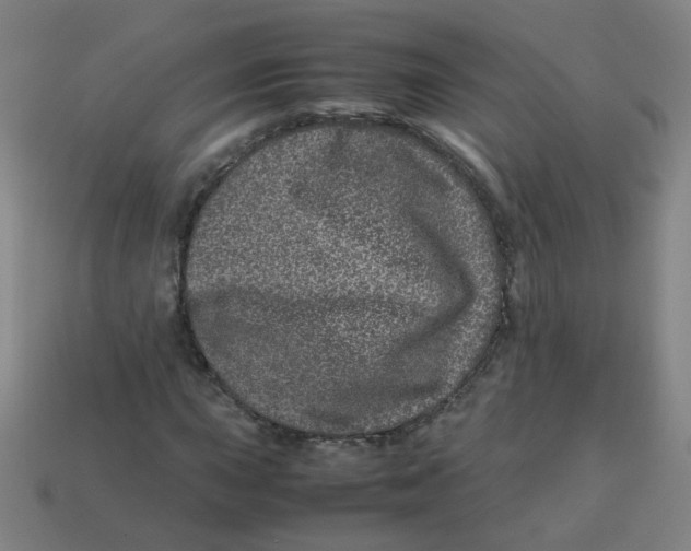 X0000113241015200910081253