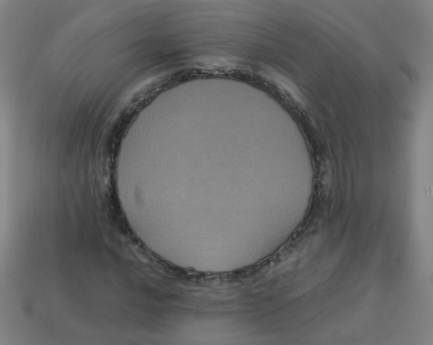 X0000113241016200910081253