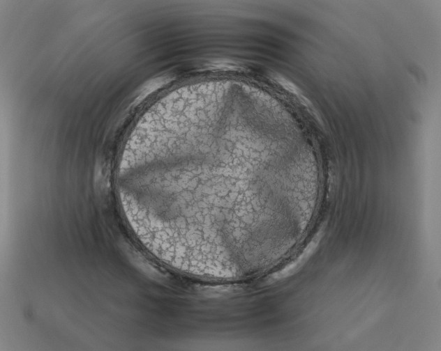X0000113241017200910081253