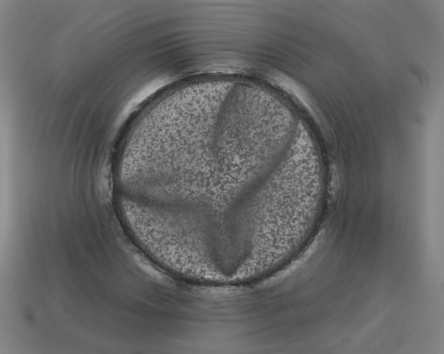 X0000113241018200910081253