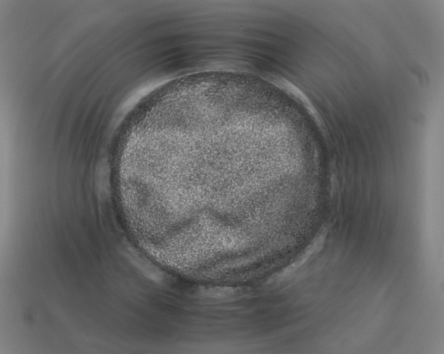 X0000113241019200910081253