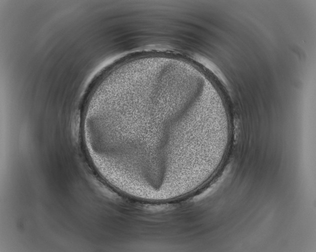X0000113241021200910081253