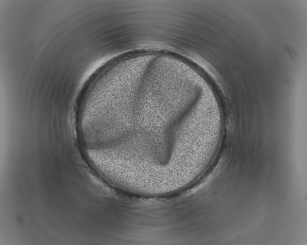 X0000113241022200910081253
