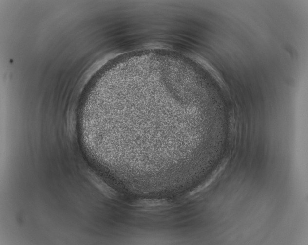 X0000113241023200910081253