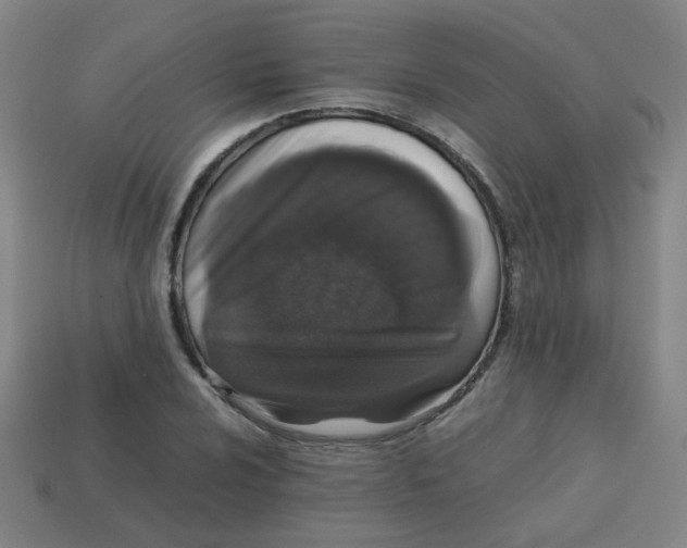 X0000113241024200910081253