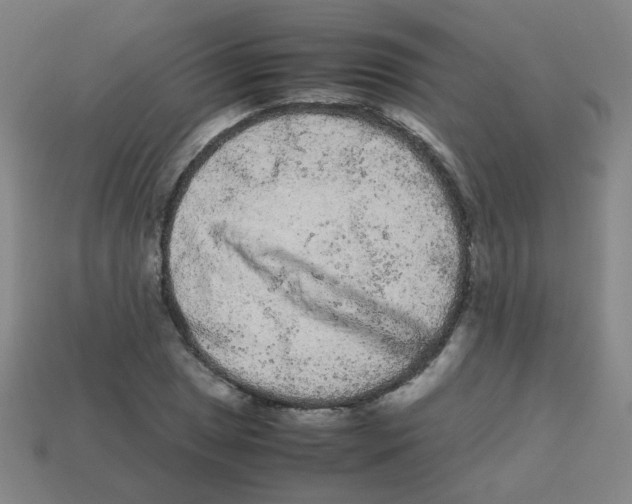 X0000113241025200910081253
