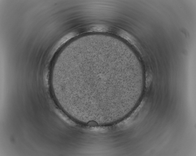 X0000113241026200910081253